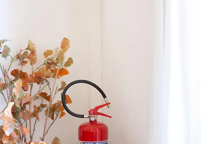 Almanegra * ヴィッラシミーウス