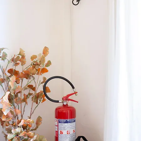 Almanegra * 빌라시미우스